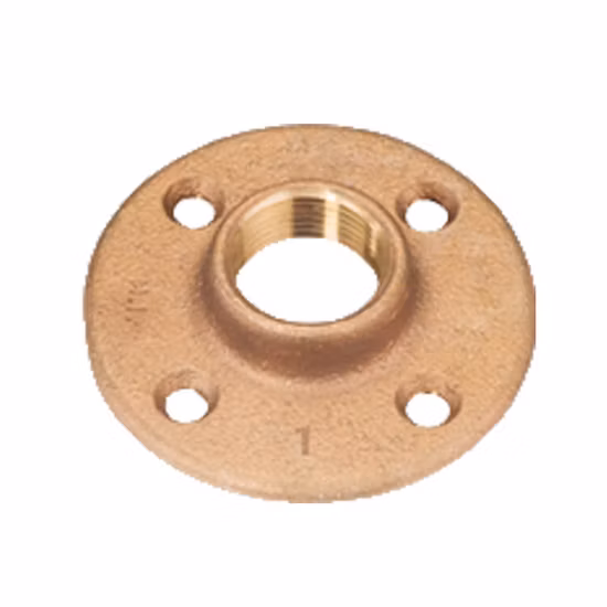 Customized Copper Brass Forging Forged Plate Flange Titanium Flange or Flange Nut Pipe Fittings Flange